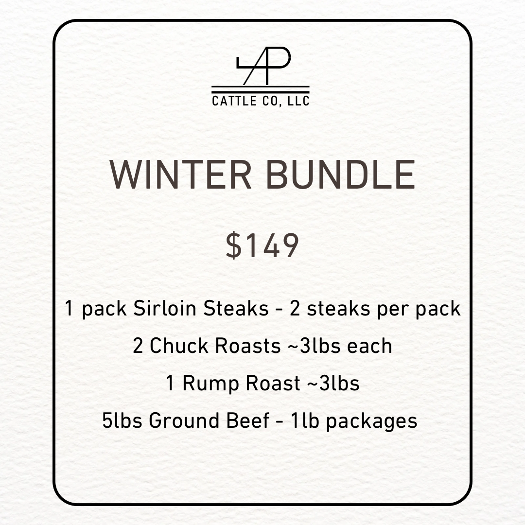 Winter Bundle